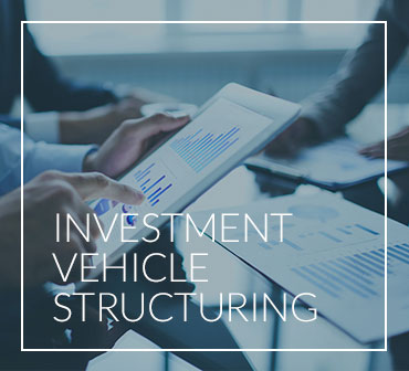 Investment Vehicle Structuring